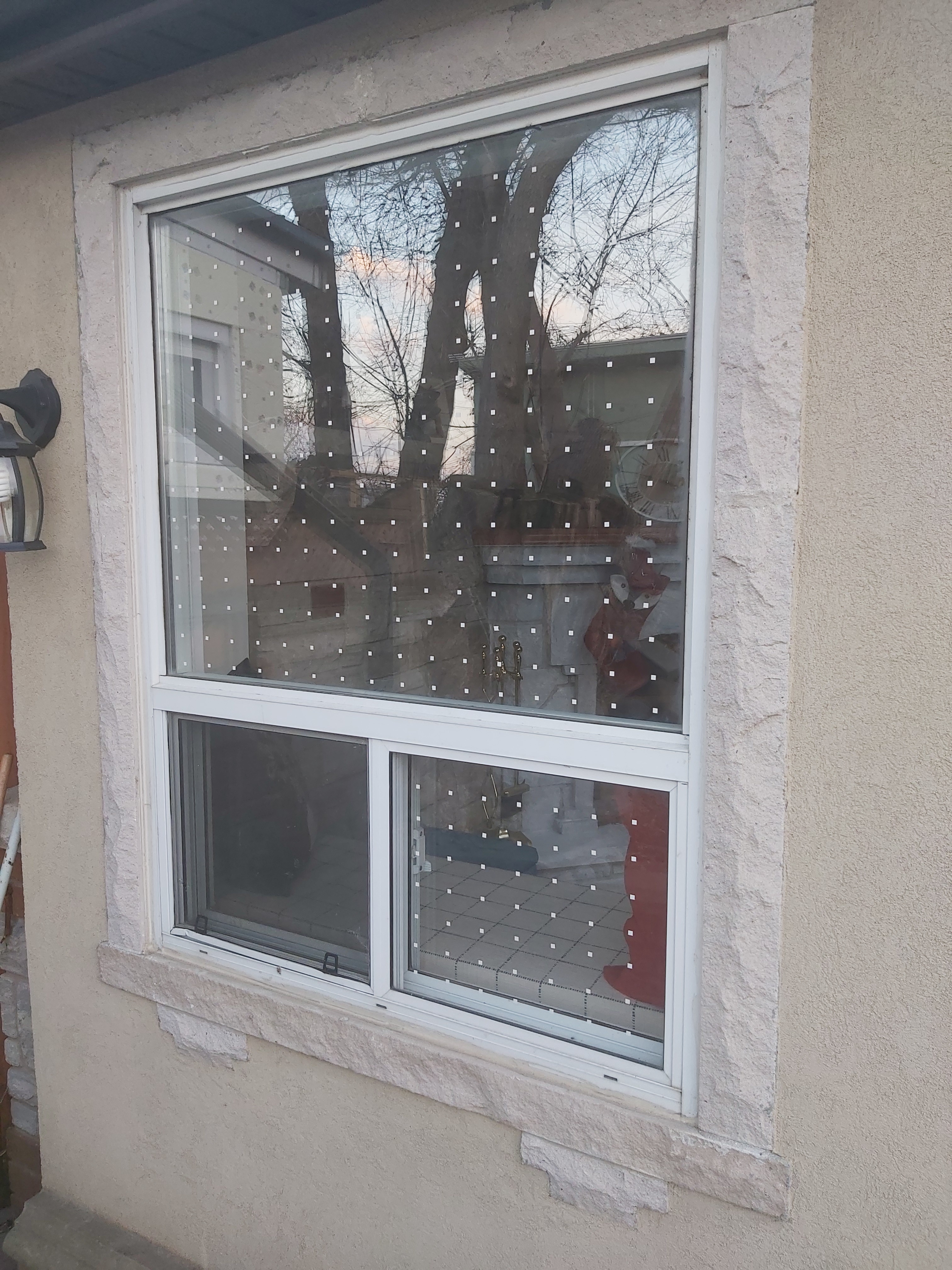 Window Covering Bird Protection Bird Proof Your Windows – The Guelph Bird-safe Window Initiative